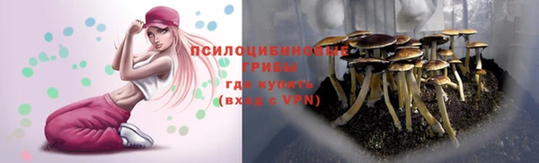 альфа пвп Бородино