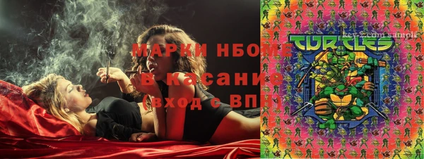 хмурый Богородск
