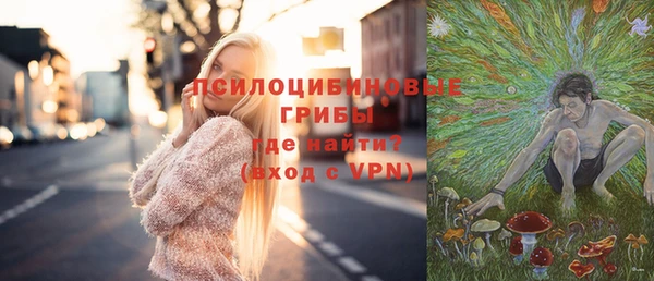 альфа пвп Бородино